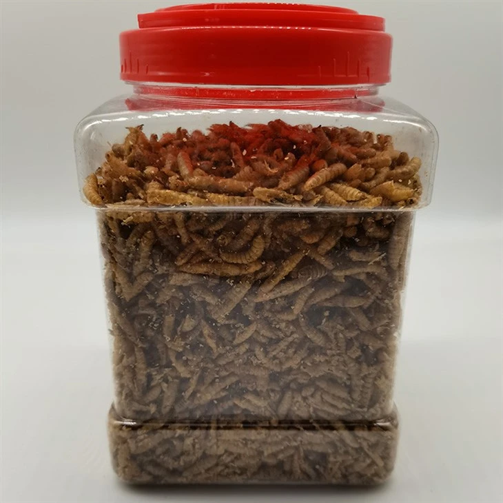 Makanan ikan larva BSF kering mikro