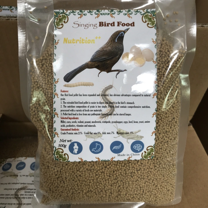 Makanan Burung Thrushes yang Luar Biasa